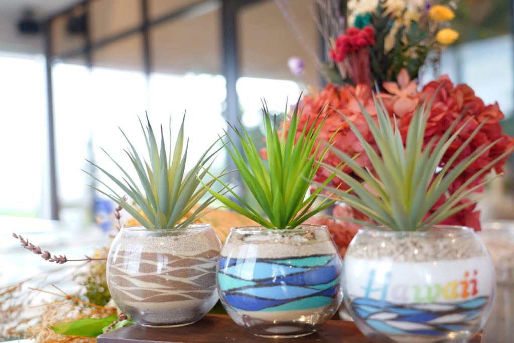 夏に向けて・・・